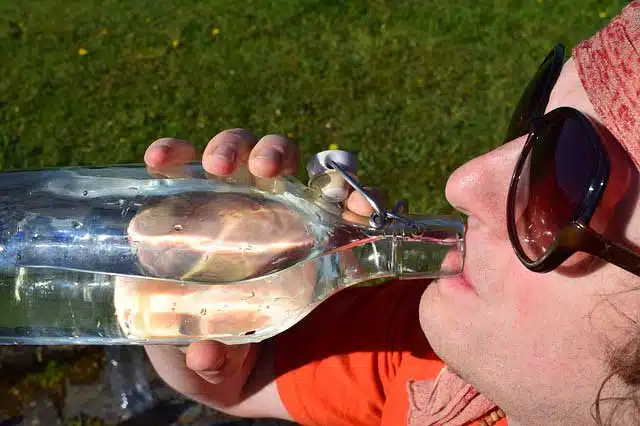 Driver drinking water during a summer journey