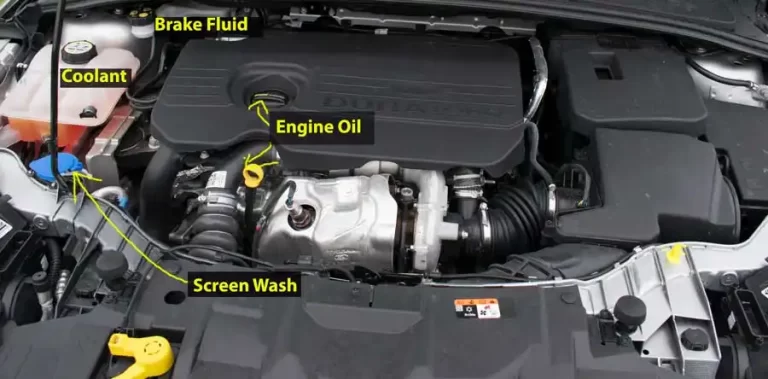 Labelled Ford Focus 1.5 TDCi diesel engine bay