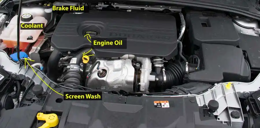 Ford Focus 1.5 TDCi diesel engine bay showing the brake fluid, coolant, engine oil and screen wash locations